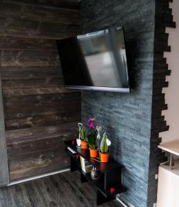 petite-parois-+tv